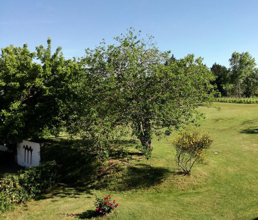 Willa Agriturismo Morattina Castrocaro Terme Zewnętrze zdjęcie